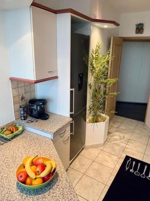 Grand Appartement 2 Chambres 5 Pers Max, Vue Panoramique Avec Parking Mulhouse Dış mekan fotoğraf