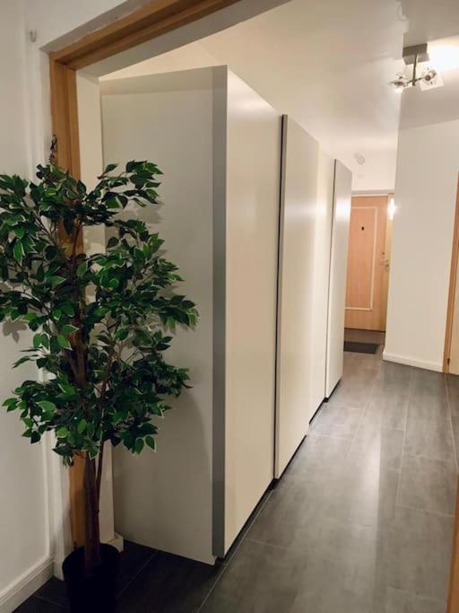 Grand Appartement 2 Chambres 5 Pers Max, Vue Panoramique Avec Parking Mulhouse Dış mekan fotoğraf