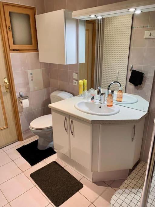 Grand Appartement 2 Chambres 5 Pers Max, Vue Panoramique Avec Parking Mulhouse Dış mekan fotoğraf
