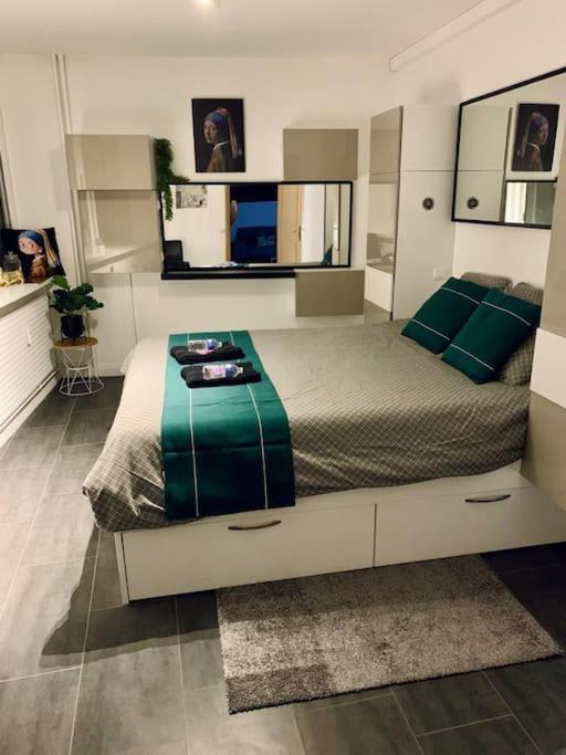 Grand Appartement 2 Chambres 5 Pers Max, Vue Panoramique Avec Parking Mulhouse Dış mekan fotoğraf