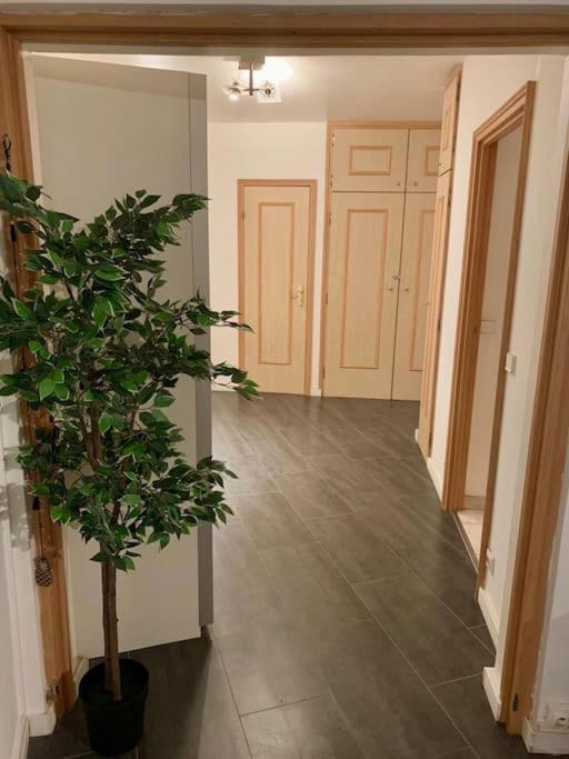 Grand Appartement 2 Chambres 5 Pers Max, Vue Panoramique Avec Parking Mulhouse Dış mekan fotoğraf