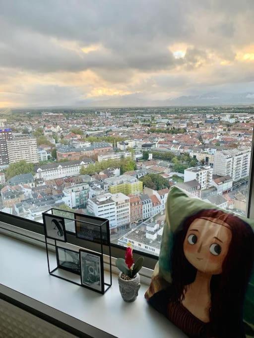 Grand Appartement 2 Chambres 5 Pers Max, Vue Panoramique Avec Parking Mulhouse Dış mekan fotoğraf